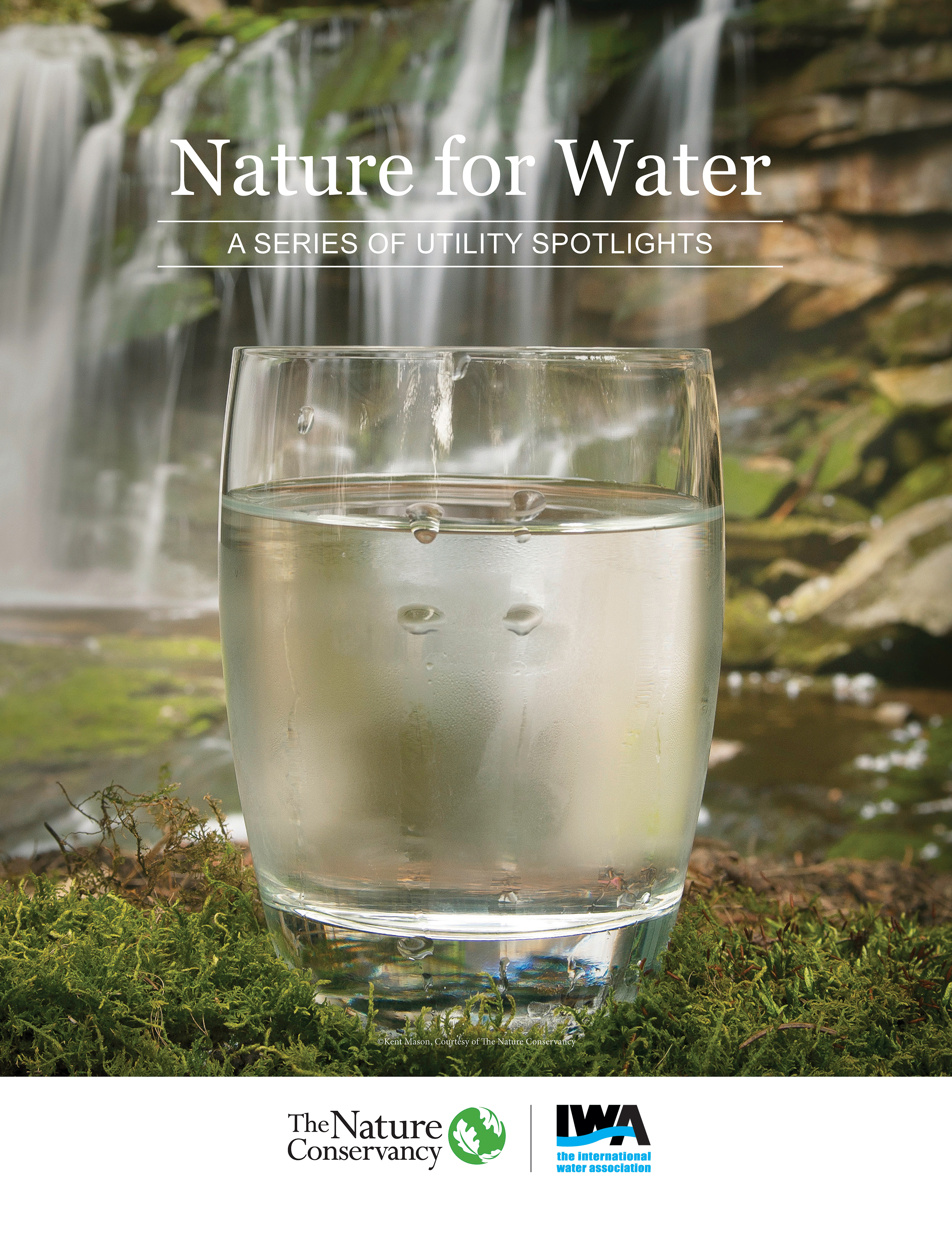 Nature for Water: Series Spotlights IWA Publishing