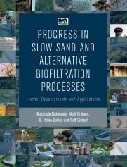 Progress in Slow Sand and Alternative Biofiltration Processes