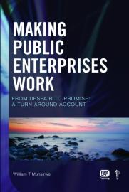 Making Public Enterprises Work