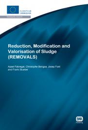 Reduction, Modification and Valorisation of Sludge