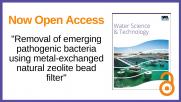 WST Editor's Choice Paper #18: Water Science & Technology 