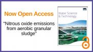 WST Editor's Choice Paper #19: Water Science & Technology 