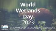 World Wetlands Day 2023 - Books Collection 