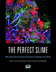 The Perfect Slime: Microbial Extracellular Polymeric Substances (EPS)
