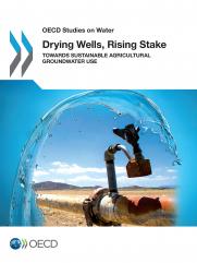 Drying Wells, Rising Stakes – Towards Sustainable Agricultural Groundwater Use
