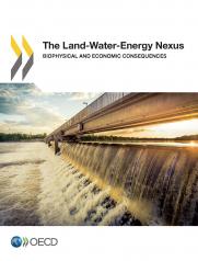 The Land-Water-Energy Nexus: Biophysical and Economic Consequences